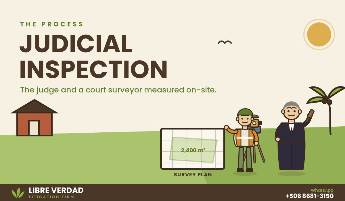 Judicial inspection on the property with the judge, a court-appointed surveyor and the registered survey plan.